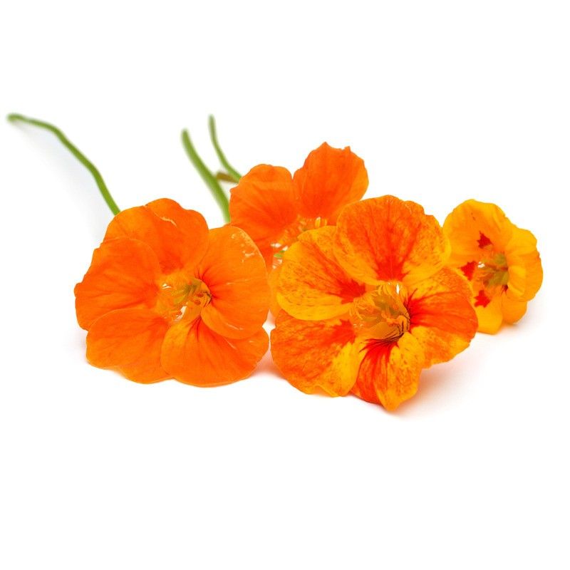 Fleurs de capucine - 18g