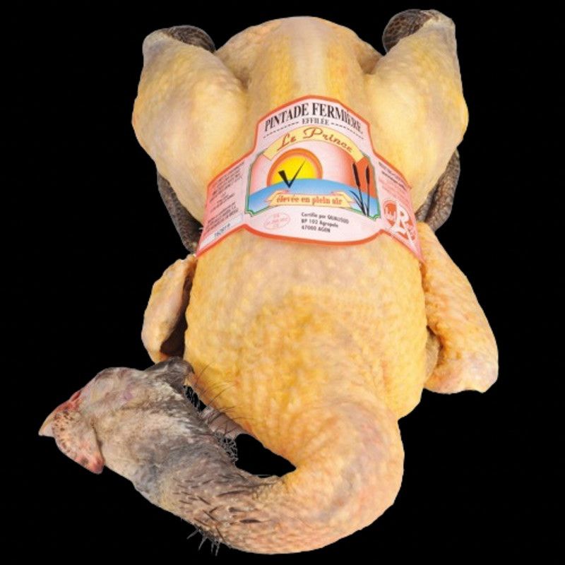 Pintade fermière de la Dombes "Le Prince" Label Rouge ±2kg