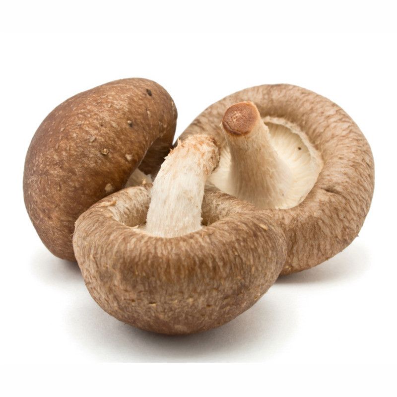 Shiitakés frais - 1kg