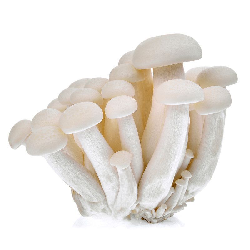 Champignons Shimeji blanc - 150g