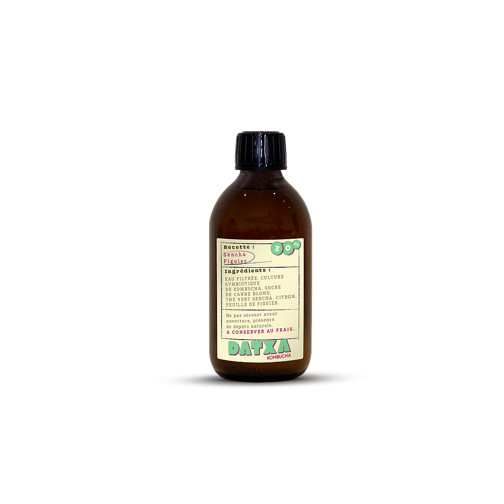 Kombucha Sencha - Feuilles de figuier - 30 cl - Lot de 12 bouteilles