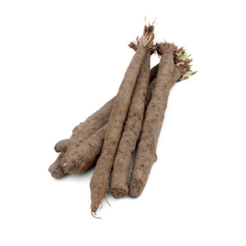 Racine de Salsifis Frais - 1kg