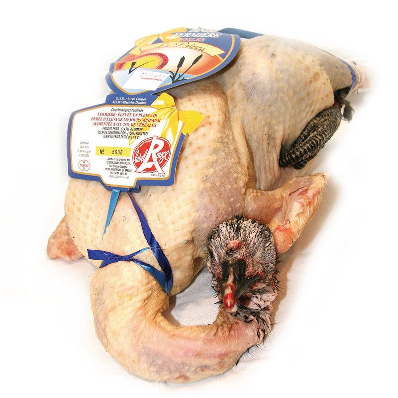 ✨ Dinde fermière de la Dombes "Le Prince" Label Rouge ±3,5kg