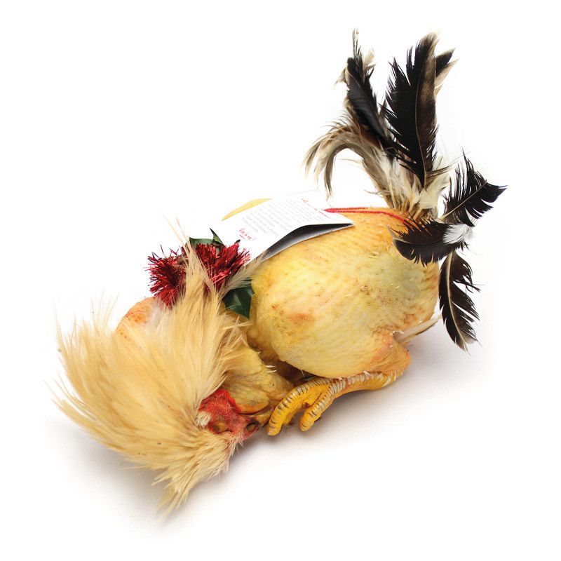 ✨ Mini chapon du Gers ±2,8kg