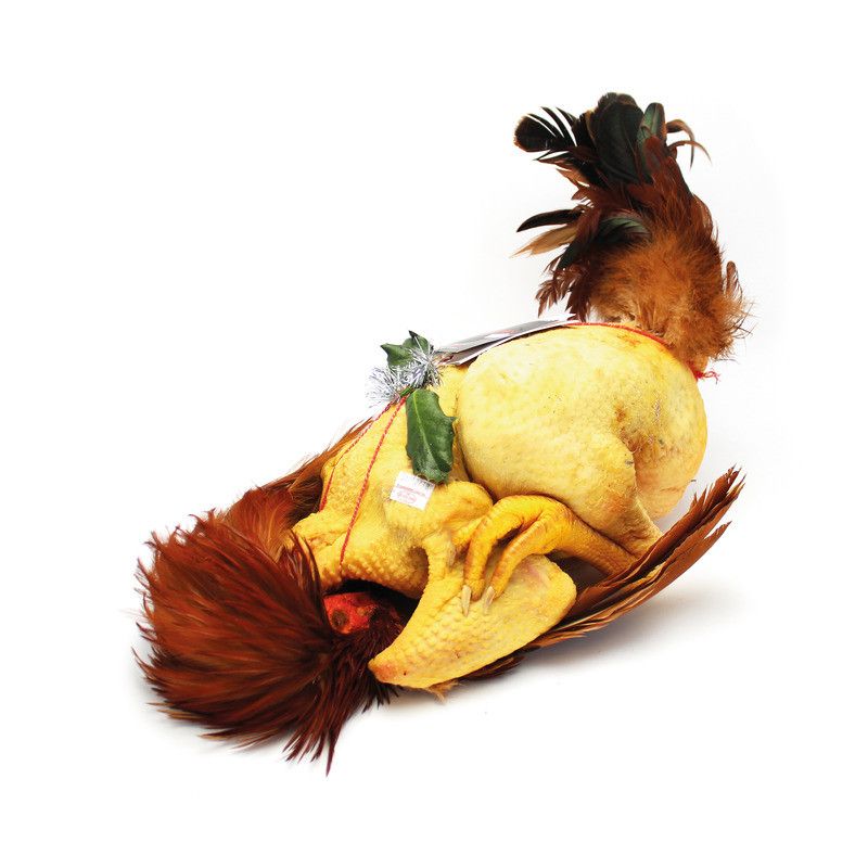 ✨ Chapon du Gers ±3,8kg
