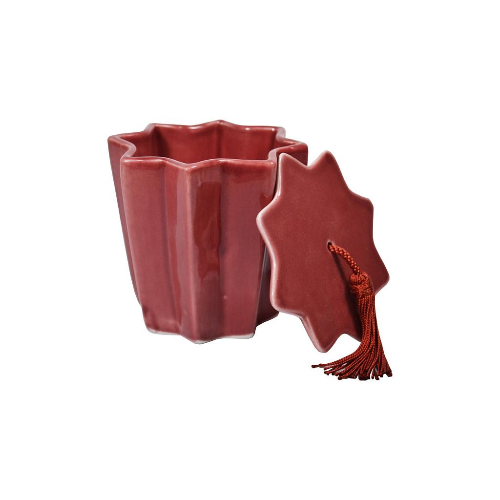 Boite étoile pompon aubergine